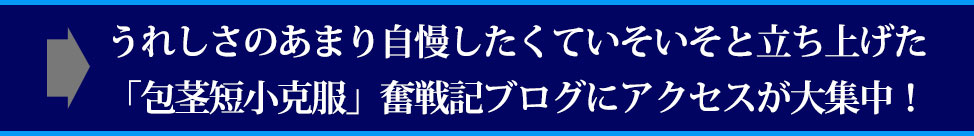 たまたま公開した、私自身の包茎・短小・早漏克服の記事にアクセスが大集中!